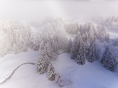 Trekking and landscapes in Fusine lakes area 