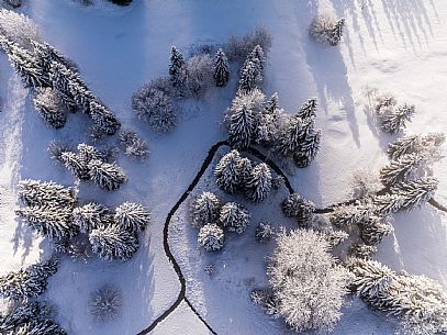 Trekking and landscapes in Fusine lakes area 