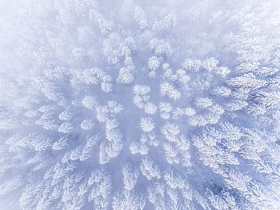Trekking and landscapes in Fusine lakes area 