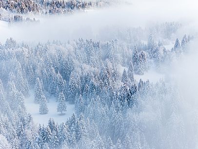 Trekking and landscapes in Fusine lakes area 