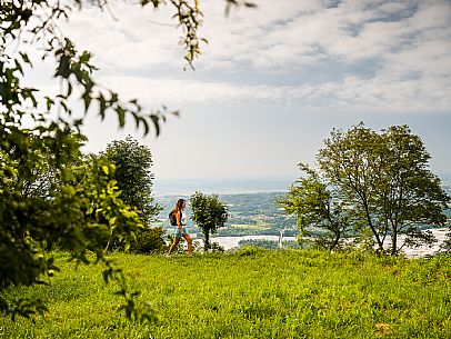 Circular hike from Somp Cornino on Monte Prat to Monte Cuar with views of the Tagliamento river