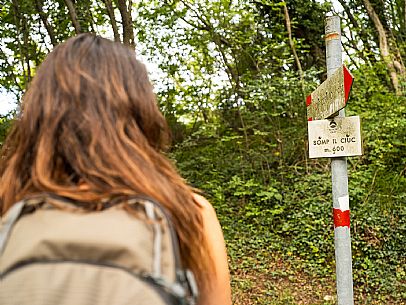 Circular hike from Somp Cornino on Monte Prat to Monte Cuar with views of the Tagliamento river