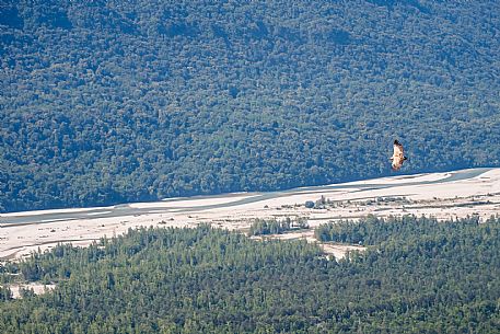 Circular hike from Somp Cornino on Monte Prat to Monte Cuar with views of the Tagliamento river