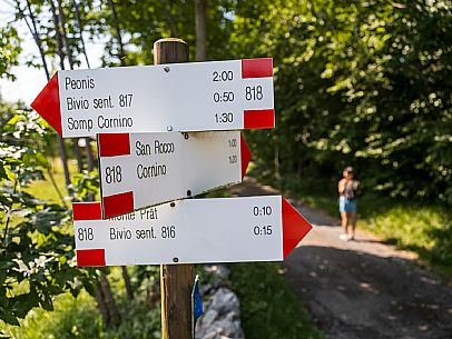 Circular hike from Somp Cornino on Monte Prat to Monte Cuar with views of the Tagliamento river