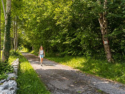Circular hike from Somp Cornino on Monte Prat to Monte Cuar with views of the Tagliamento river