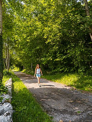 Circular hike from Somp Cornino on Monte Prat to Monte Cuar with views of the Tagliamento river