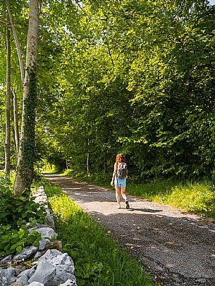 Circular hike from Somp Cornino on Monte Prat to Monte Cuar with views of the Tagliamento river