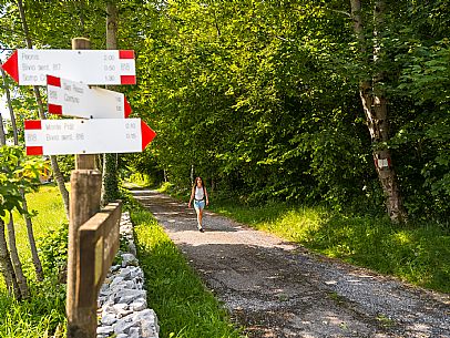Circular hike from Somp Cornino on Monte Prat to Monte Cuar with views of the Tagliamento river