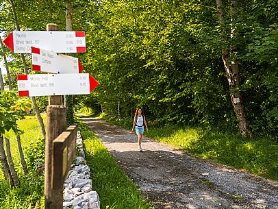 Circular hike from Somp Cornino on Monte Prat to Monte Cuar with views of the Tagliamento river