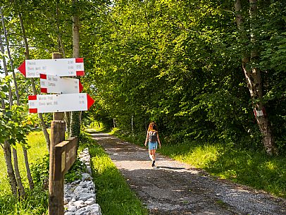 Circular hike from Somp Cornino on Monte Prat to Monte Cuar with views of the Tagliamento river