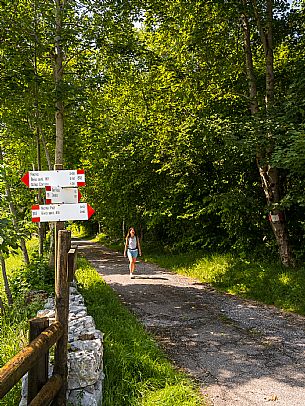 Circular hike from Somp Cornino on Monte Prat to Monte Cuar with views of the Tagliamento river