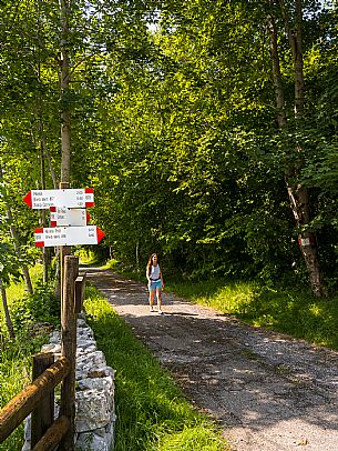 Circular hike from Somp Cornino on Monte Prat to Monte Cuar with views of the Tagliamento river