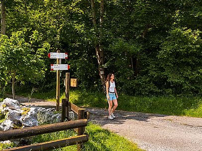 Circular hike from Somp Cornino on Monte Prat to Monte Cuar with views of the Tagliamento river