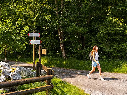 Circular hike from Somp Cornino on Monte Prat to Monte Cuar with views of the Tagliamento river