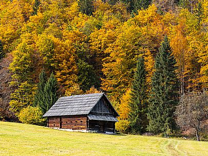The meadows of Val Bartolo. Here you can immerse yourself in greenery, an expanse of meadows dotted with traditional mountain huts, characterised by wood and sloping roofs with balconies adorned with flowers. Landscapes and trekking in autumn.