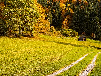 The meadows of Val Bartolo. Here you can immerse yourself in greenery, an expanse of meadows dotted with traditional mountain huts, characterised by wood and sloping roofs with balconies adorned with flowers. Landscapes and trekking in autumn.