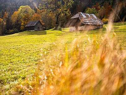 The meadows of Val Bartolo. Here you can immerse yourself in greenery, an expanse of meadows dotted with traditional mountain huts, characterised by wood and sloping roofs with balconies adorned with flowers. Landscapes and trekking in autumn.