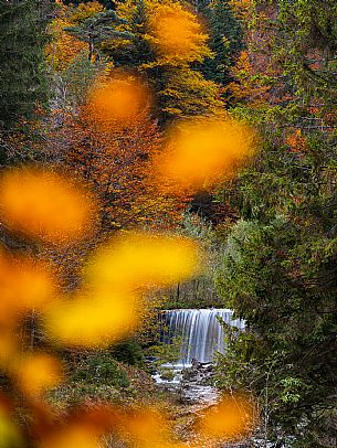 The meadows of Val Bartolo. Here you can immerse yourself in greenery, an expanse of meadows dotted with traditional mountain huts, characterised by wood and sloping roofs with balconies adorned with flowers. Landscapes and trekking in autumn.