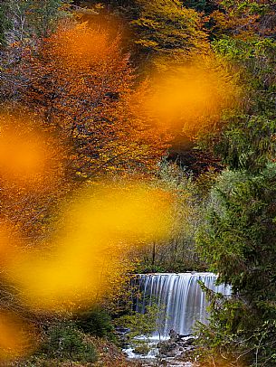 The meadows of Val Bartolo. Here you can immerse yourself in greenery, an expanse of meadows dotted with traditional mountain huts, characterised by wood and sloping roofs with balconies adorned with flowers. Landscapes and trekking in autumn.
