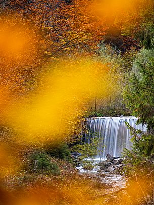 The meadows of Val Bartolo. Here you can immerse yourself in greenery, an expanse of meadows dotted with traditional mountain huts, characterised by wood and sloping roofs with balconies adorned with flowers. Landscapes and trekking in autumn.