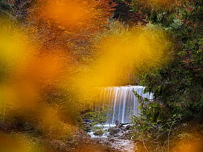 The meadows of Val Bartolo. Here you can immerse yourself in greenery, an expanse of meadows dotted with traditional mountain huts, characterised by wood and sloping roofs with balconies adorned with flowers. Landscapes and trekking in autumn.