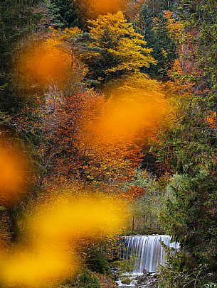 The meadows of Val Bartolo. Here you can immerse yourself in greenery, an expanse of meadows dotted with traditional mountain huts, characterised by wood and sloping roofs with balconies adorned with flowers. Landscapes and trekking in autumn.