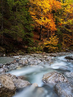 The meadows of Val Bartolo. Here you can immerse yourself in greenery, an expanse of meadows dotted with traditional mountain huts, characterised by wood and sloping roofs with balconies adorned with flowers. Landscapes and trekking in autumn.