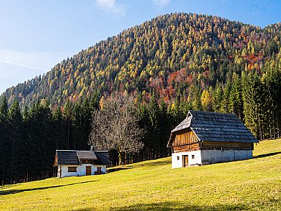 The meadows of Val Bartolo. Here you can immerse yourself in greenery, an expanse of meadows dotted with traditional mountain huts, characterised by wood and sloping roofs with balconies adorned with flowers. Landscapes and trekking in autumn.