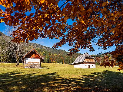 The meadows of Val Bartolo. Here you can immerse yourself in greenery, an expanse of meadows dotted with traditional mountain huts, characterised by wood and sloping roofs with balconies adorned with flowers. Landscapes and trekking in autumn.