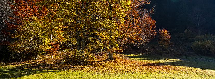 The meadows of Val Bartolo. Here you can immerse yourself in greenery, an expanse of meadows dotted with traditional mountain huts, characterised by wood and sloping roofs with balconies adorned with flowers. Landscapes and trekking in autumn.