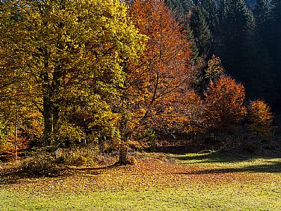 The meadows of Val Bartolo. Here you can immerse yourself in greenery, an expanse of meadows dotted with traditional mountain huts, characterised by wood and sloping roofs with balconies adorned with flowers. Landscapes and trekking in autumn.