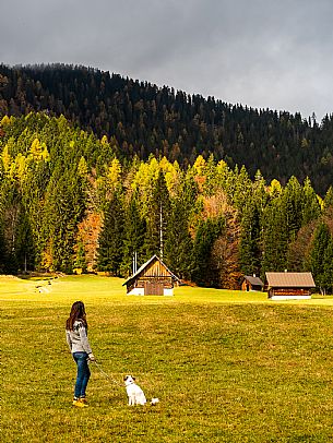 The meadows of Val Bartolo. Here you can immerse yourself in greenery, an expanse of meadows dotted with traditional mountain huts, characterised by wood and sloping roofs with balconies adorned with flowers. Landscapes and trekking in autumn.