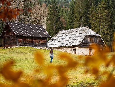 The meadows of Val Bartolo. Here you can immerse yourself in greenery, an expanse of meadows dotted with traditional mountain huts, characterised by wood and sloping roofs with balconies adorned with flowers. Landscapes and trekking in autumn.