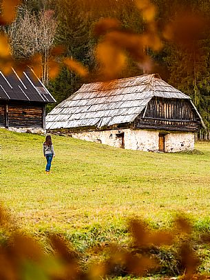 The meadows of Val Bartolo. Here you can immerse yourself in greenery, an expanse of meadows dotted with traditional mountain huts, characterised by wood and sloping roofs with balconies adorned with flowers. Landscapes and trekking in autumn.