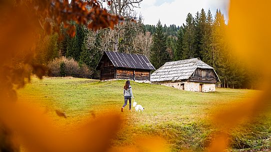 The meadows of Val Bartolo. Here you can immerse yourself in greenery, an expanse of meadows dotted with traditional mountain huts, characterised by wood and sloping roofs with balconies adorned with flowers. Landscapes and trekking in autumn.