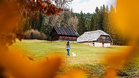 The meadows of Val Bartolo. Here you can immerse yourself in greenery, an expanse of meadows dotted with traditional mountain huts, characterised by wood and sloping roofs with balconies adorned with flowers. Landscapes and trekking in autumn.