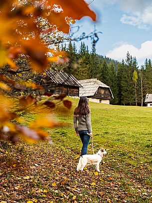 The meadows of Val Bartolo. Here you can immerse yourself in greenery, an expanse of meadows dotted with traditional mountain huts, characterised by wood and sloping roofs with balconies adorned with flowers. Landscapes and trekking in autumn.