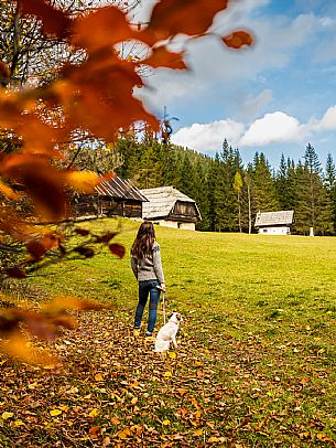 The meadows of Val Bartolo. Here you can immerse yourself in greenery, an expanse of meadows dotted with traditional mountain huts, characterised by wood and sloping roofs with balconies adorned with flowers. Landscapes and trekking in autumn.