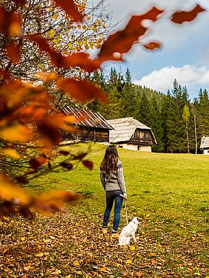 The meadows of Val Bartolo. Here you can immerse yourself in greenery, an expanse of meadows dotted with traditional mountain huts, characterised by wood and sloping roofs with balconies adorned with flowers. Landscapes and trekking in autumn.