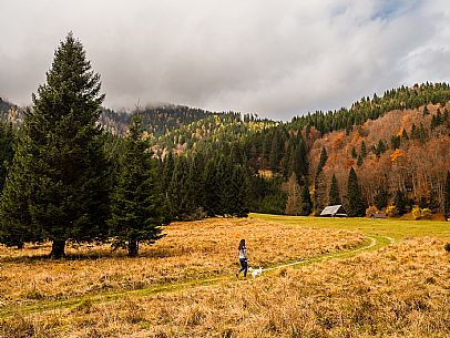 The meadows of Val Bartolo. Here you can immerse yourself in greenery, an expanse of meadows dotted with traditional mountain huts, characterised by wood and sloping roofs with balconies adorned with flowers. Landscapes and trekking in autumn.