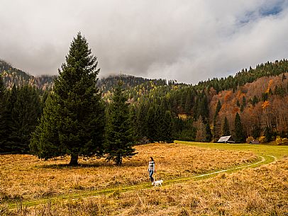 The meadows of Val Bartolo. Here you can immerse yourself in greenery, an expanse of meadows dotted with traditional mountain huts, characterised by wood and sloping roofs with balconies adorned with flowers. Landscapes and trekking in autumn.