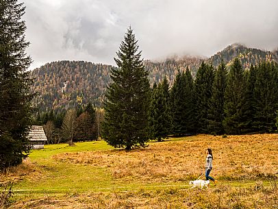 The meadows of Val Bartolo. Here you can immerse yourself in greenery, an expanse of meadows dotted with traditional mountain huts, characterised by wood and sloping roofs with balconies adorned with flowers. Landscapes and trekking in autumn.
