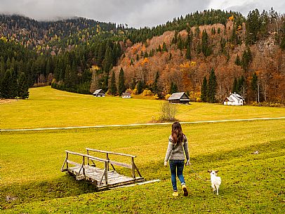 The meadows of Val Bartolo. Here you can immerse yourself in greenery, an expanse of meadows dotted with traditional mountain huts, characterised by wood and sloping roofs with balconies adorned with flowers. Landscapes and trekking in autumn.