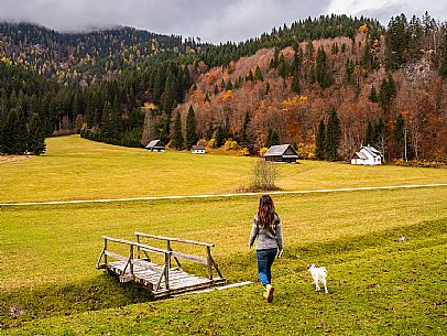 The meadows of Val Bartolo. Here you can immerse yourself in greenery, an expanse of meadows dotted with traditional mountain huts, characterised by wood and sloping roofs with balconies adorned with flowers. Landscapes and trekking in autumn.