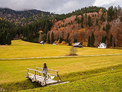 The meadows of Val Bartolo. Here you can immerse yourself in greenery, an expanse of meadows dotted with traditional mountain huts, characterised by wood and sloping roofs with balconies adorned with flowers. Landscapes and trekking in autumn.