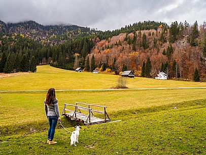 The meadows of Val Bartolo. Here you can immerse yourself in greenery, an expanse of meadows dotted with traditional mountain huts, characterised by wood and sloping roofs with balconies adorned with flowers. Landscapes and trekking in autumn.