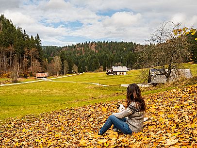 The meadows of Val Bartolo. Here you can immerse yourself in greenery, an expanse of meadows dotted with traditional mountain huts, characterised by wood and sloping roofs with balconies adorned with flowers. Landscapes and trekking in autumn.
