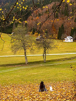 The meadows of Val Bartolo. Here you can immerse yourself in greenery, an expanse of meadows dotted with traditional mountain huts, characterised by wood and sloping roofs with balconies adorned with flowers. Landscapes and trekking in autumn.