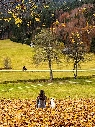 The meadows of Val Bartolo. Here you can immerse yourself in greenery, an expanse of meadows dotted with traditional mountain huts, characterised by wood and sloping roofs with balconies adorned with flowers. Landscapes and trekking in autumn.