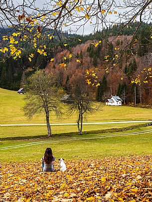 The meadows of Val Bartolo. Here you can immerse yourself in greenery, an expanse of meadows dotted with traditional mountain huts, characterised by wood and sloping roofs with balconies adorned with flowers. Landscapes and trekking in autumn.